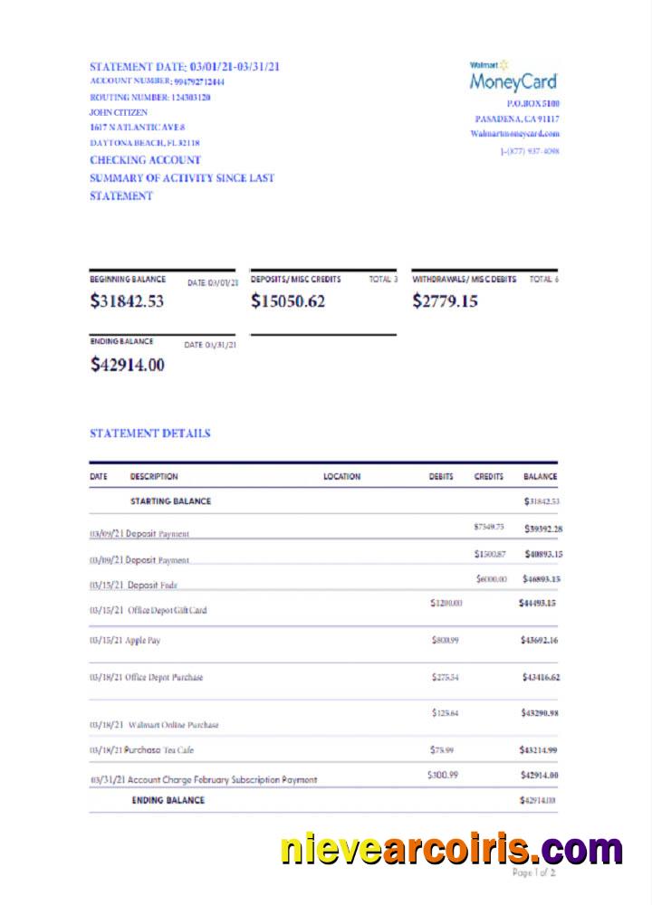 USA WALMART MONEY CARD statement Word and PDF, version 2